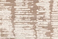 11 Fossil