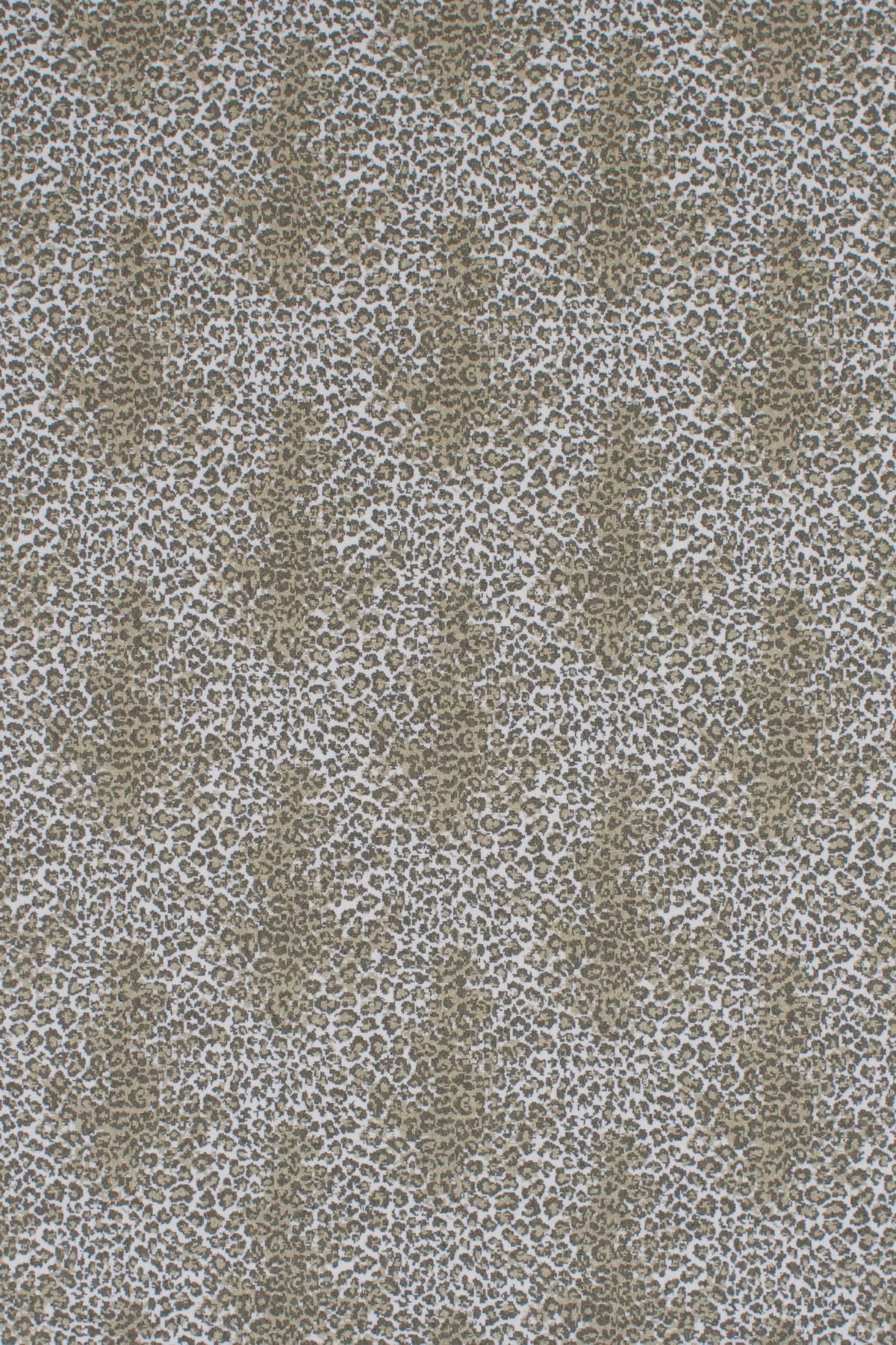 21 Sepia