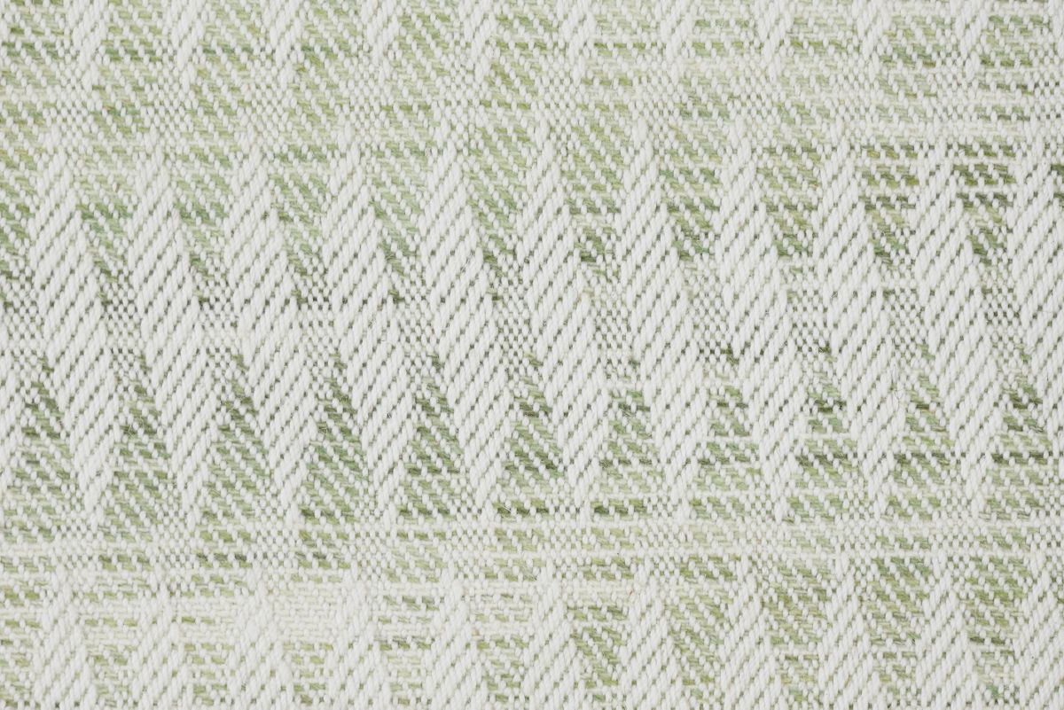 3 Fern