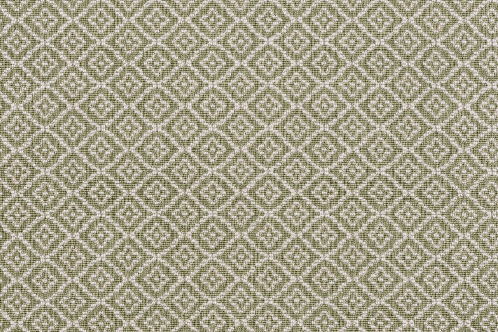 6 Lichen