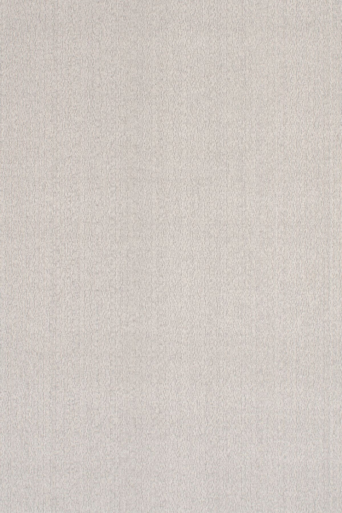 T01002947_ALT2