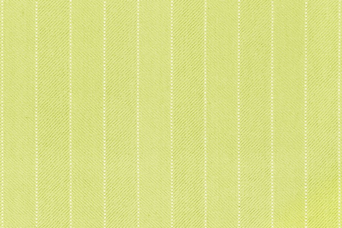 T01005637_CL