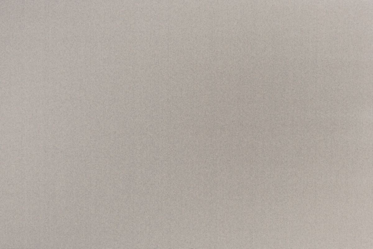 T01005996_ALT2