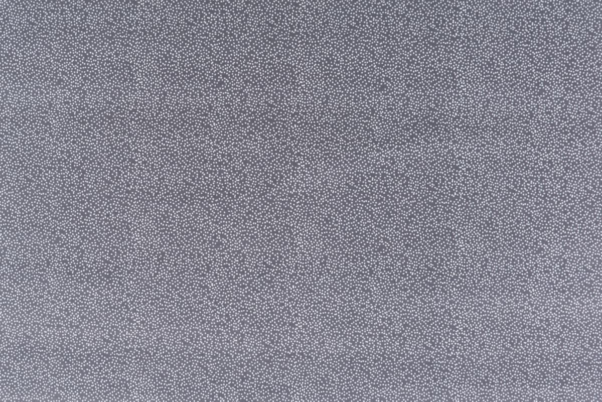 T01007026_ALT2