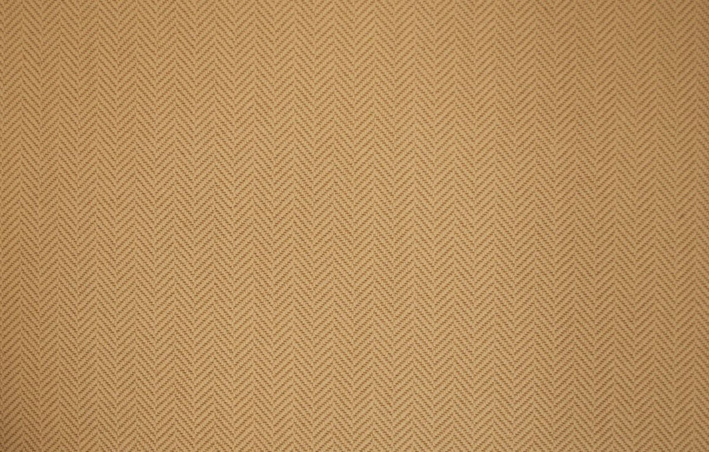 T01007842