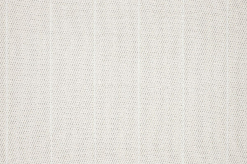 T01008090_CL