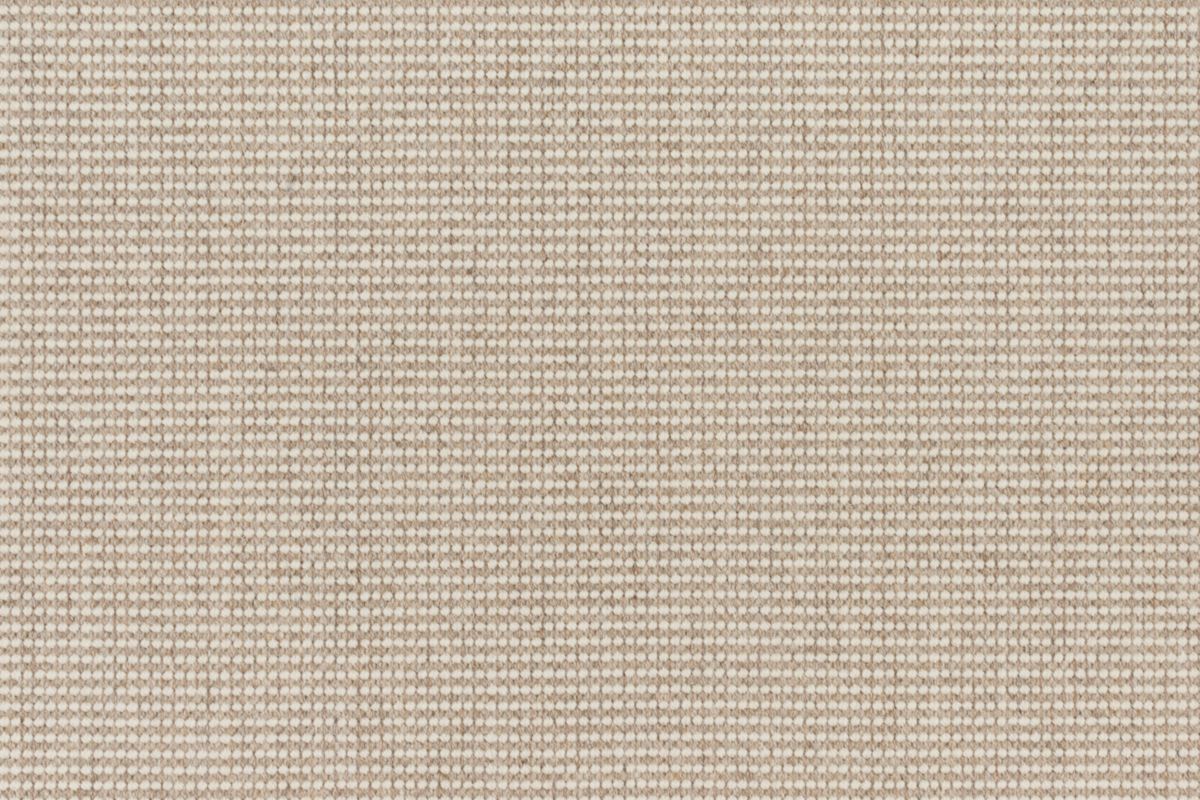 T01009108_CL