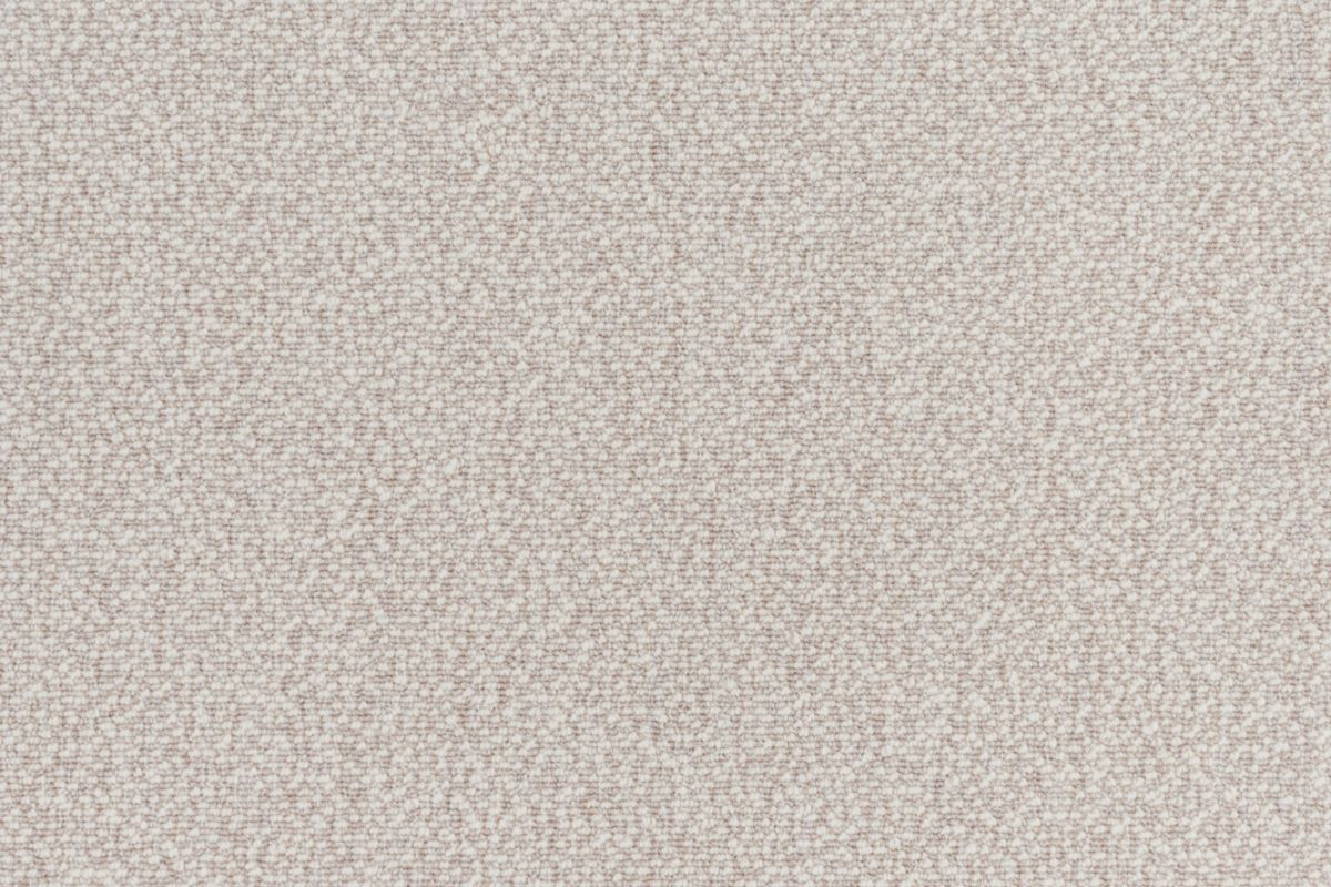 T01009906_CL