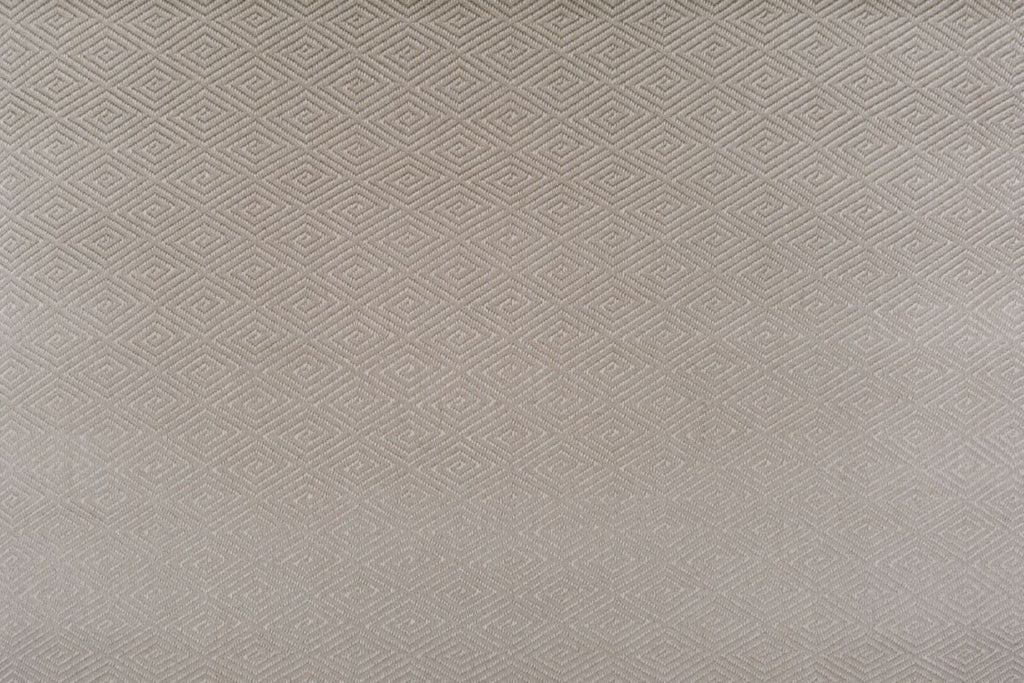T01011001_ALT2