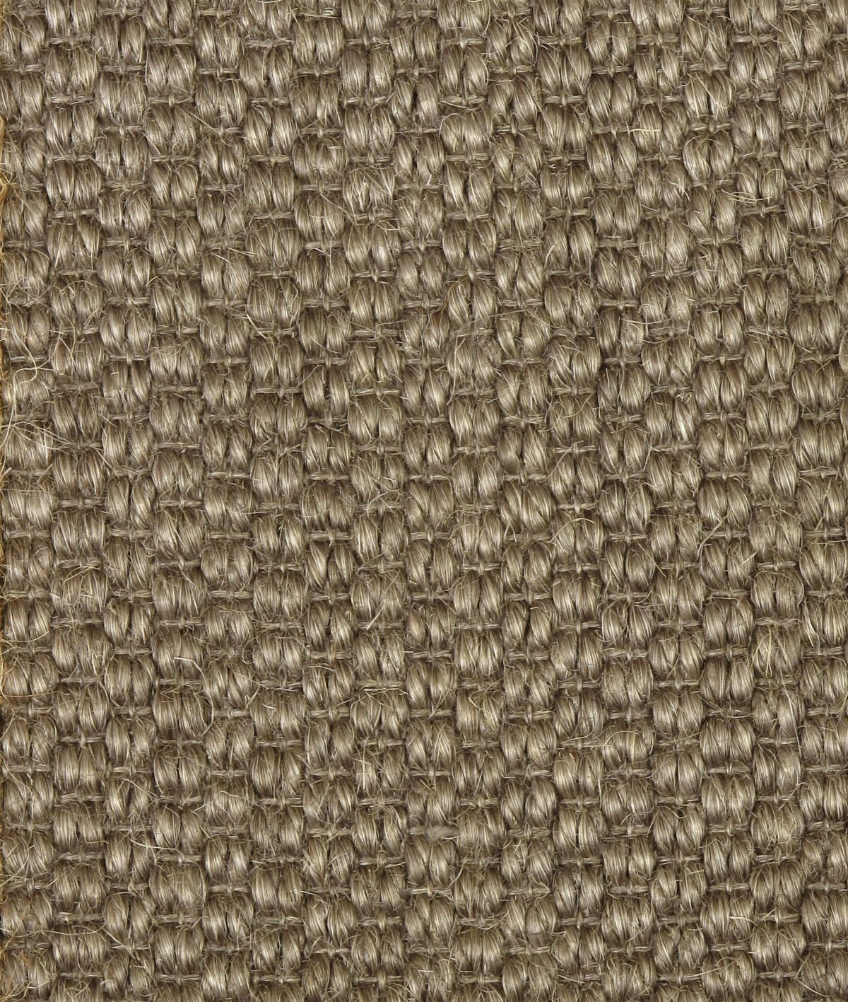 T01011812