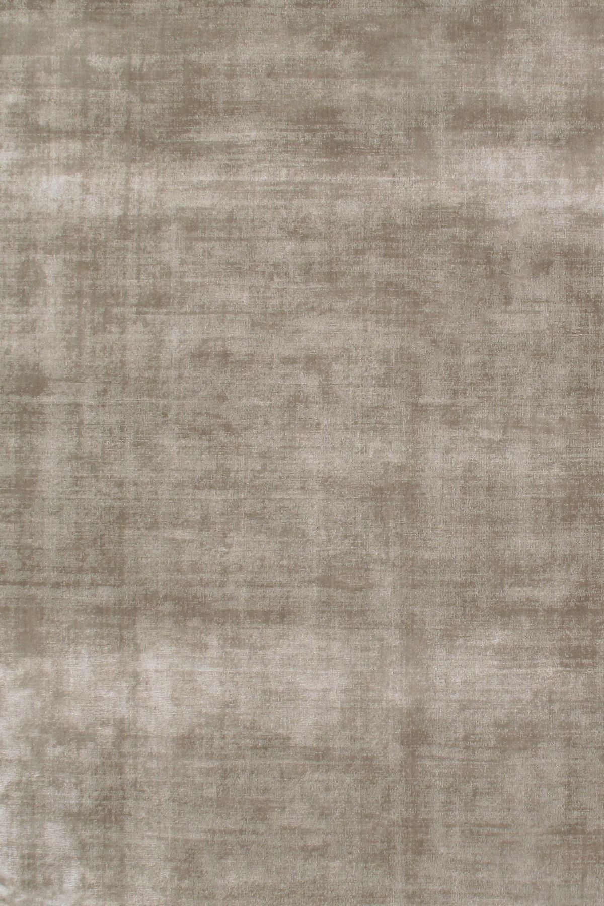 T01013827_ALT2